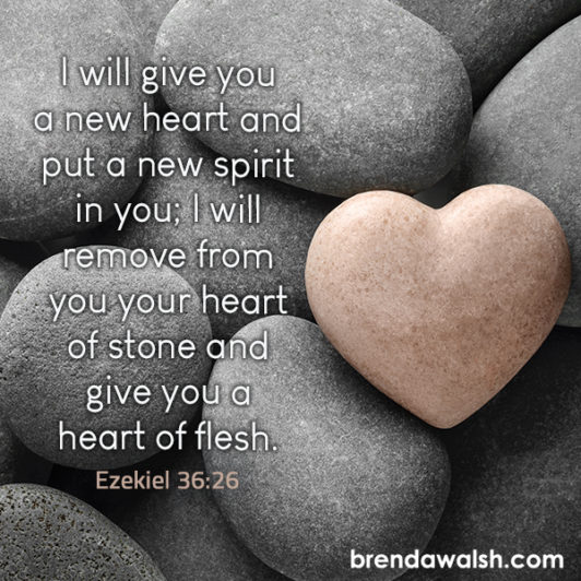 Heart Of Stone Brenda Walsh Scripture Images