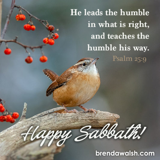 Happy Sabbath Brenda Walsh Scripture Images