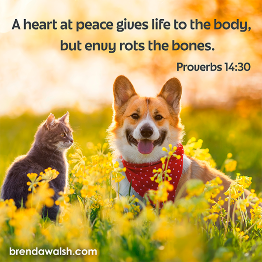 A Peaceful Heart Brenda Walsh Scripture Images