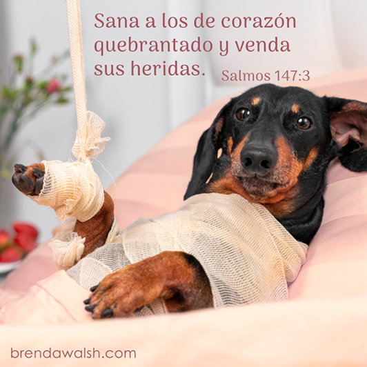 Salmos Brenda Walsh Scripture Images