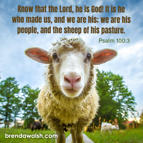 Know Your Shepherd - Brenda Walsh Scripture Images