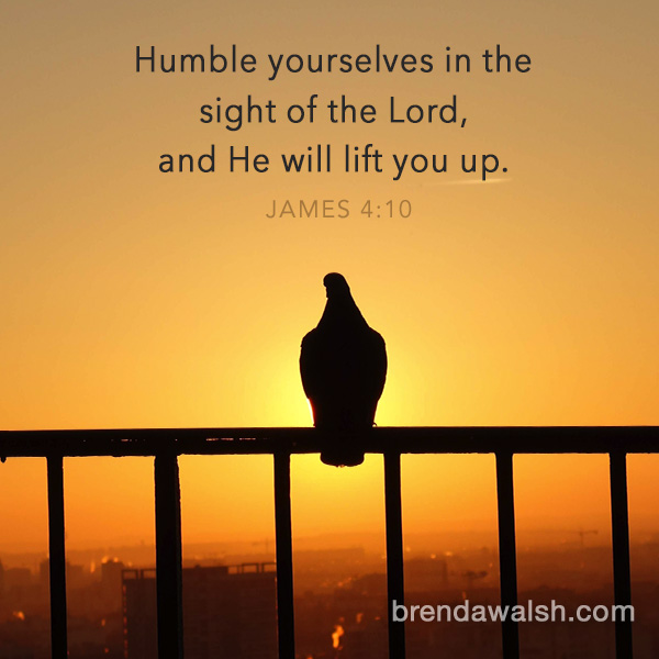 Humble Images