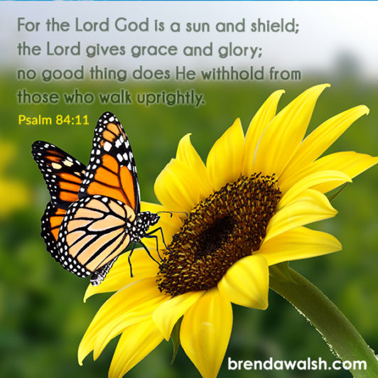 Light and Protection - Brenda Walsh Scripture Images