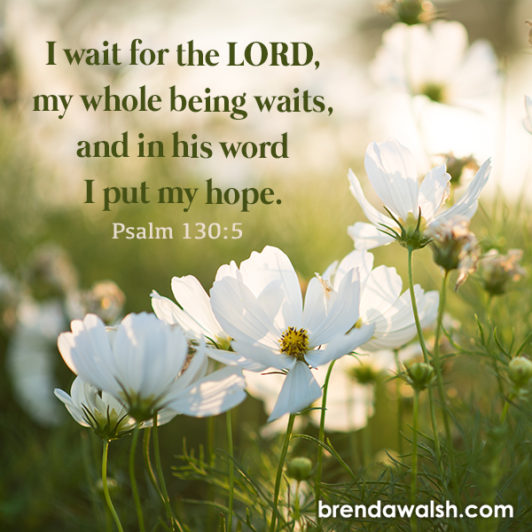 Gentle Patience - Brenda Walsh Scripture Images