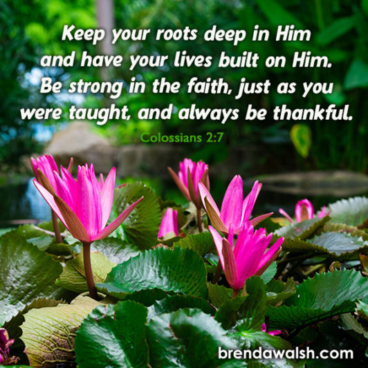 Rooted in God - Brenda Walsh Scripture Images