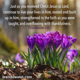 Brenda Walsh Scripture Images - Inspirational Scripture pictures to ...