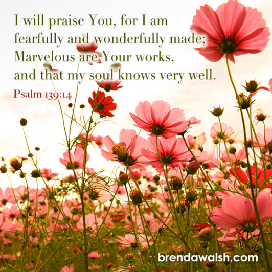 Marvelous Works - Brenda Walsh Scripture Images