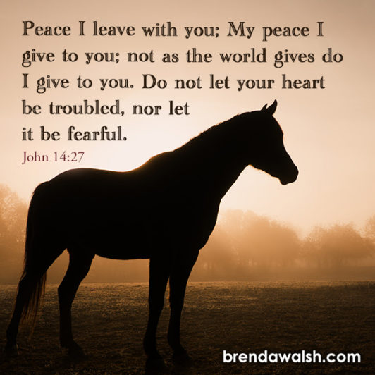 a-fearful-heart-brenda-walsh-scripture-images