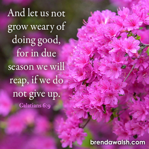 Do Not Give Up - Brenda Walsh Scripture Images
