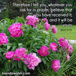 Brenda Walsh Scripture Images - Inspirational Scripture pictures to ...