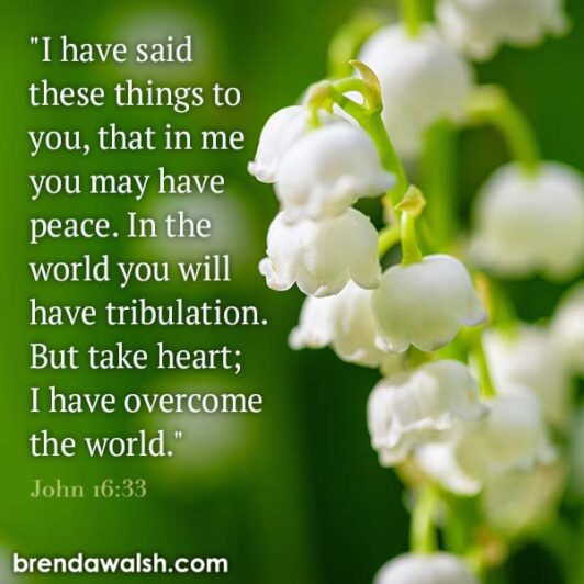Tribulation Scriptures Overcome Tribulation - Brenda Walsh Scripture Images