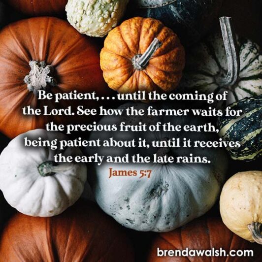 The Right Timing - Brenda Walsh Scripture Images