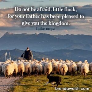 God's Flock - Brenda Walsh Scripture Images