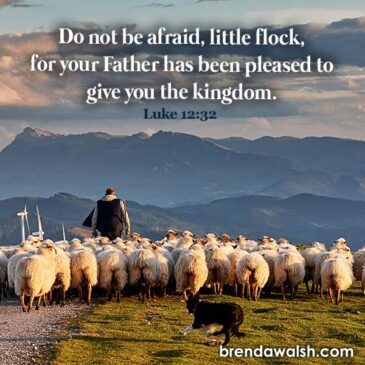 God's Flock - Brenda Walsh Scripture Images