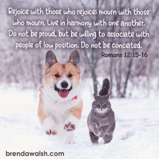 Better Together Brenda Walsh Scripture Images better-together-brenda-walsh-scripture-images