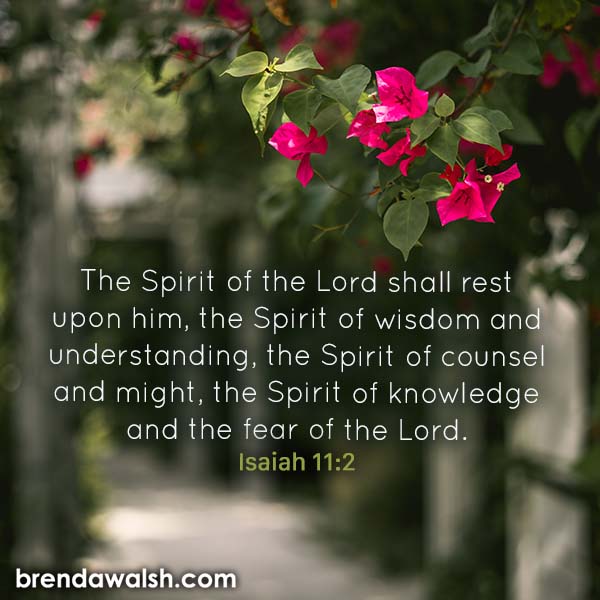 Character Of The Spirit Brenda Walsh Scripture Images