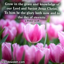 Brenda Walsh Scripture Images - Inspirational Scripture pictures to ...