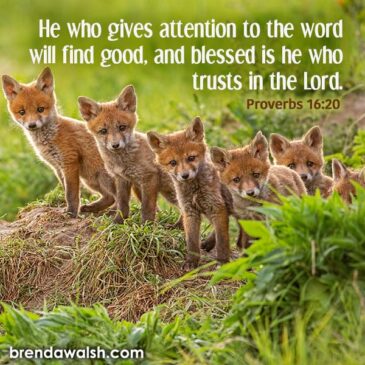 Study of God's Word - Brenda Walsh Scripture Images