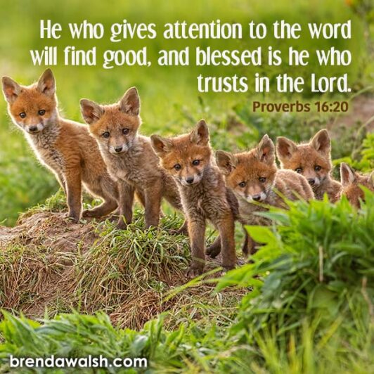 Study of God's Word - Brenda Walsh Scripture Images