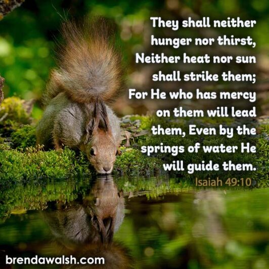 Scriptures On Mercy Guidance & Mercy - Brenda Walsh Scripture Images