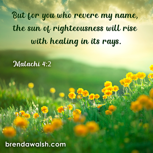 Sun of Righteousness - Brenda Walsh Scripture Images