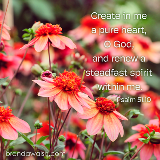 New Heart New Spirit Brenda Walsh Scripture Images