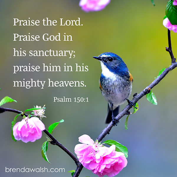 Constant Praise Brenda Walsh Scripture Images Constant Praise Brenda Walsh Scripture Images