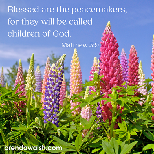 God's Peacemakers - Brenda Walsh Scripture Images