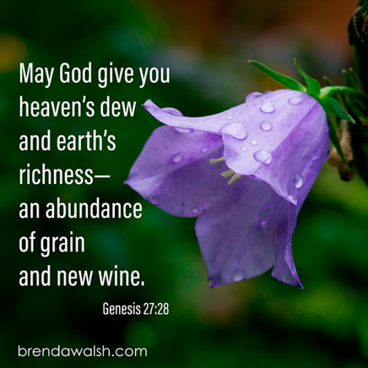 All in Abundance - Brenda Walsh Scripture Images