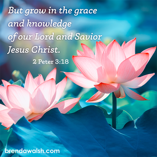 Growing in Jesus - Brenda Walsh Scripture Images