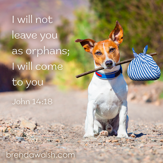 Adopted By God - Brenda Walsh Scripture Images