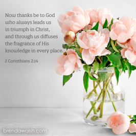 Triumph in Christ - Brenda Walsh Scripture Images