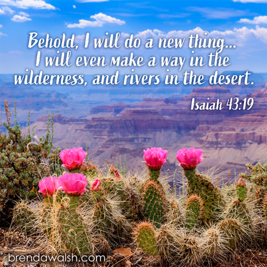Way in the Wild - Brenda Walsh Scripture Images