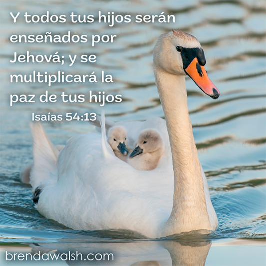 isaias 58 13 14 dios habla hoy