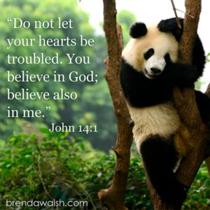 When You Believe - Brenda Walsh Scripture Images