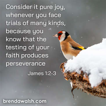 Faith & Perseverance - Brenda Walsh Scripture Images
