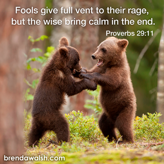 Scriptele For A Rope Rope in Your Rage - Brenda Walsh Scripture Images