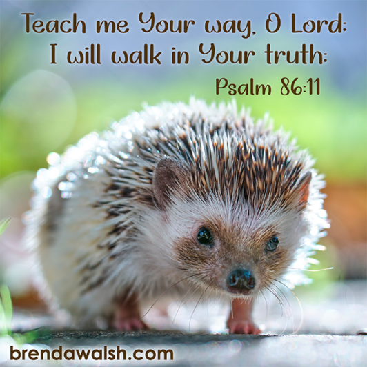 Images Scriptures Truth Taught by the Truth - Brenda Walsh Scripture Images