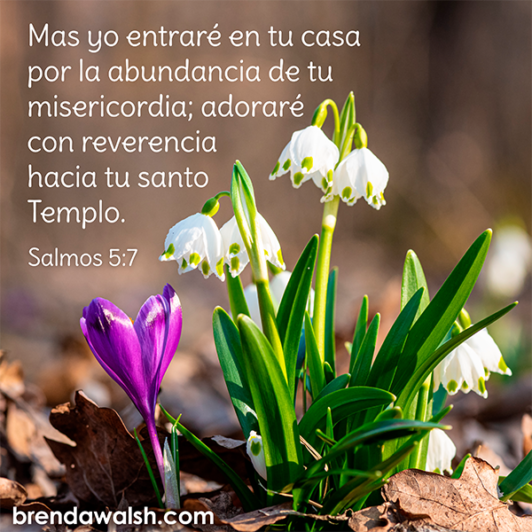 Salmos 5 7 Brenda Walsh Scripture Images