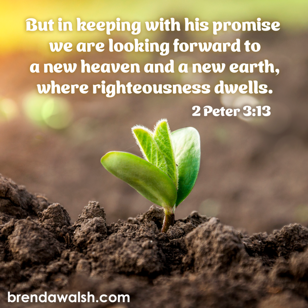 New Heaven, New Earth - Brenda Walsh Scripture Images