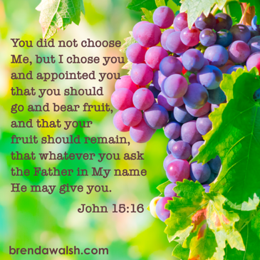 Life of a Believer - Brenda Walsh Scripture Images