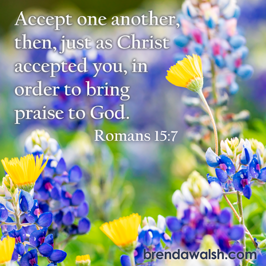 Dividing Differences - Brenda Walsh Scripture Images