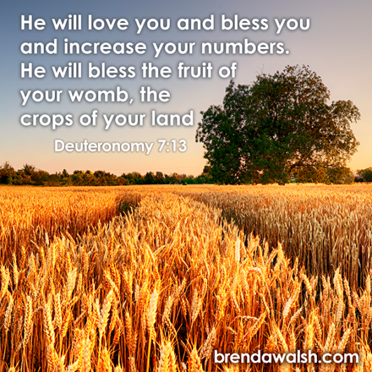 Outpouring of Blessings - Brenda Walsh Scripture Images