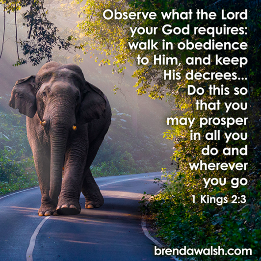 Walk In God Walk in Obedience - Brenda Walsh Scripture Images