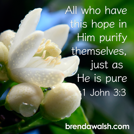 pursue-purity-brenda-walsh-scripture-images