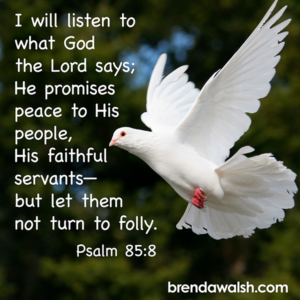 The Search for Peace - Brenda Walsh Scripture Images