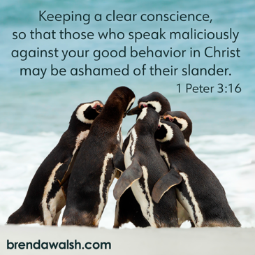 Clear Conscience - Brenda Walsh Scripture Images