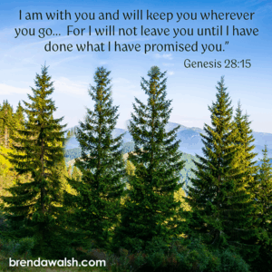 Divine Promise - Brenda Walsh Scripture Images